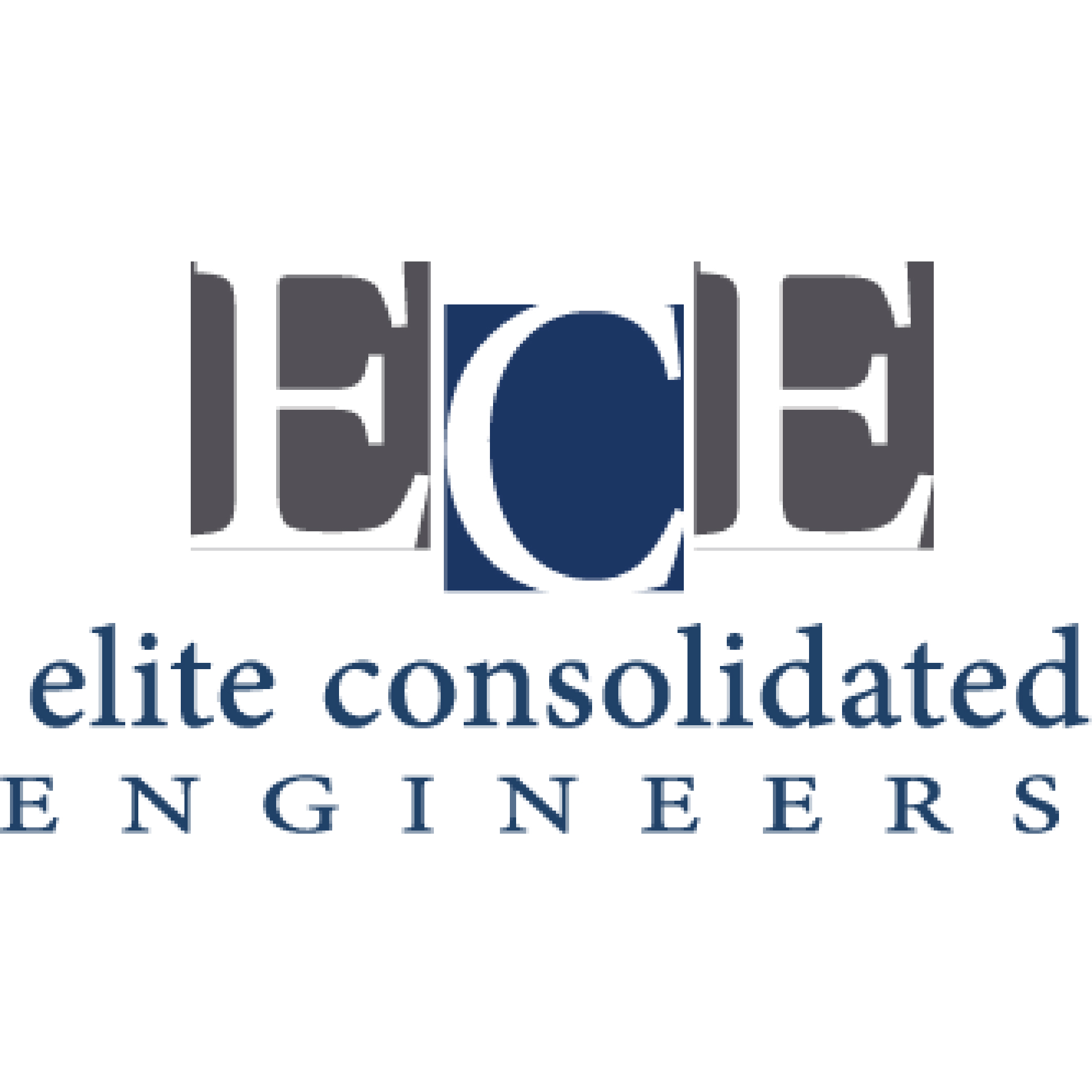 Consultants